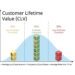 Customer Lifetime Value (CLV) in customer loyalty