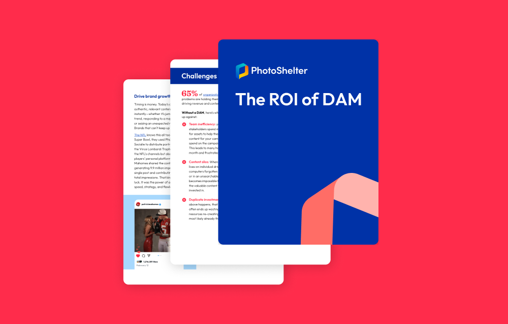 Digital Asset Management Strategy Hub | PhotoShelter
