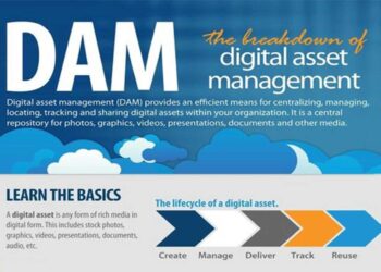 Digital Asset Management Roi Infographic Digital Asset What Is Digital
