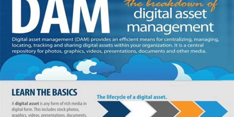 Digital Asset Management Roi Infographic Digital Asset What Is Digital